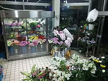 「すずか園」　（山形県寒河江市）の花屋店舗写真3