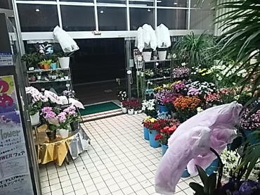 「すずか園」　（山形県寒河江市）の花屋店舗写真2